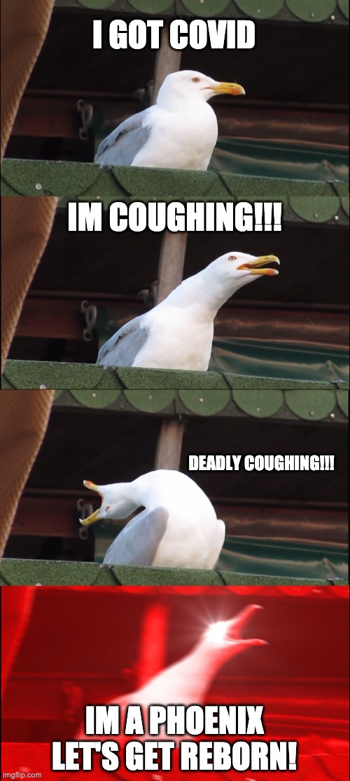 F451 | I GOT COVID; IM COUGHING!!! DEADLY COUGHING!!! IM A PHOENIX
LET'S GET REBORN! | image tagged in memes,inhaling seagull | made w/ Imgflip meme maker