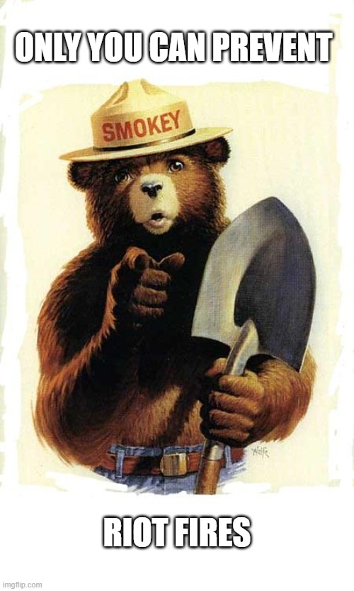 Prevent Riot Fires | ONLY YOU CAN PREVENT; RIOT FIRES | image tagged in smokey the bear,prevent,riot fires | made w/ Imgflip meme maker