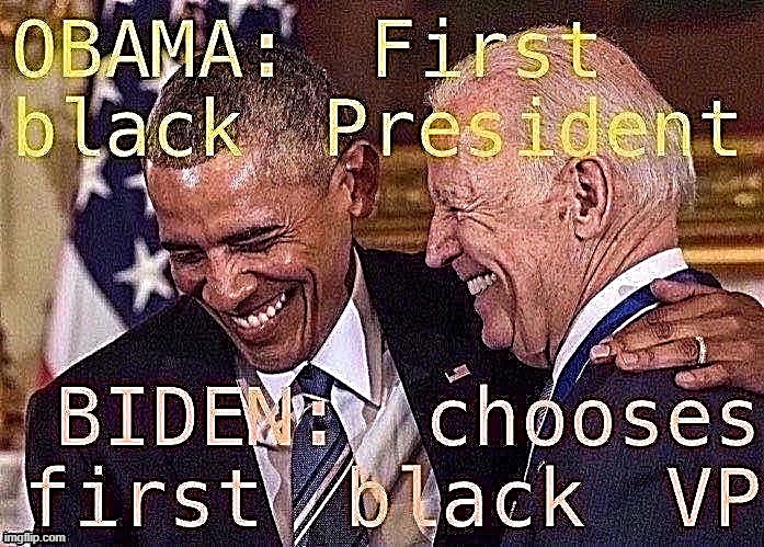 Basic facts, folks | image tagged in black,democratic party,no racism,barack obama,obama biden,obama and biden | made w/ Imgflip meme maker