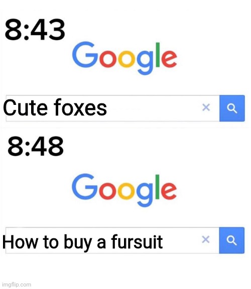 How normies turn into furries | Cute foxes; How to buy a fursuit | image tagged in google before after,furry,owo,fursuit,foxes | made w/ Imgflip meme maker