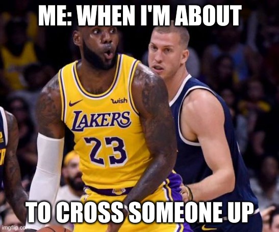 Me: when I play basketball In the NBA FINALS | ME: WHEN I'M ABOUT; TO CROSS SOMEONE UP | image tagged in labron | made w/ Imgflip meme maker