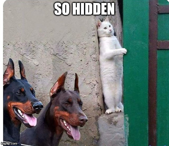 Hidden cat | SO HIDDEN | image tagged in hidden cat | made w/ Imgflip meme maker