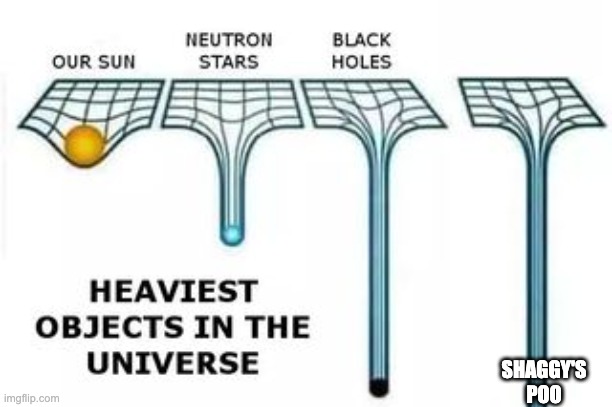 heaviest objects | SHAGGY'S POO | image tagged in heaviest objects | made w/ Imgflip meme maker