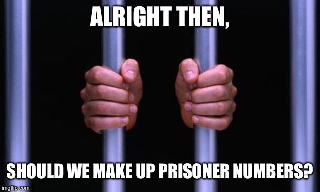 Prison Bars | ALRIGHT THEN, SHOULD WE MAKE UP PRISONER NUMBERS? | image tagged in prison bars | made w/ Imgflip meme maker