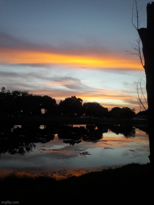 The sunset in my neighborhood over the lake | image tagged in florida,sunsets,are,best | made w/ Imgflip meme maker