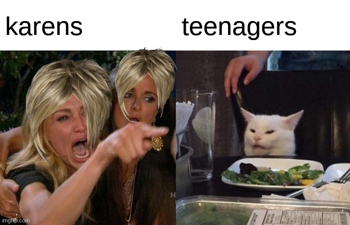 Woman Yelling At Cat | karens; teenagers | image tagged in memes,woman yelling at cat | made w/ Imgflip meme maker