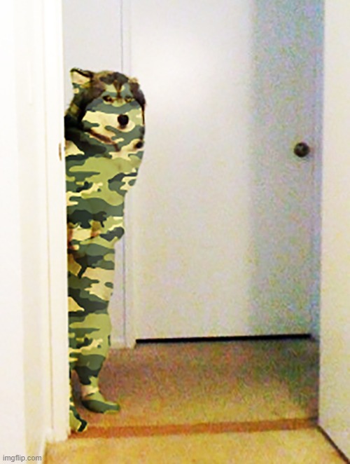 Doggo of Good Stealth | image tagged in doggo of good stealth | made w/ Imgflip meme maker