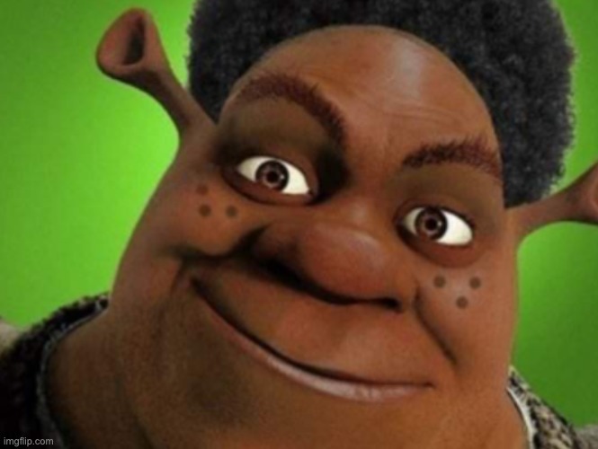 its literally SHRIGGA | image tagged in its literally shrigga | made w/ Imgflip meme maker