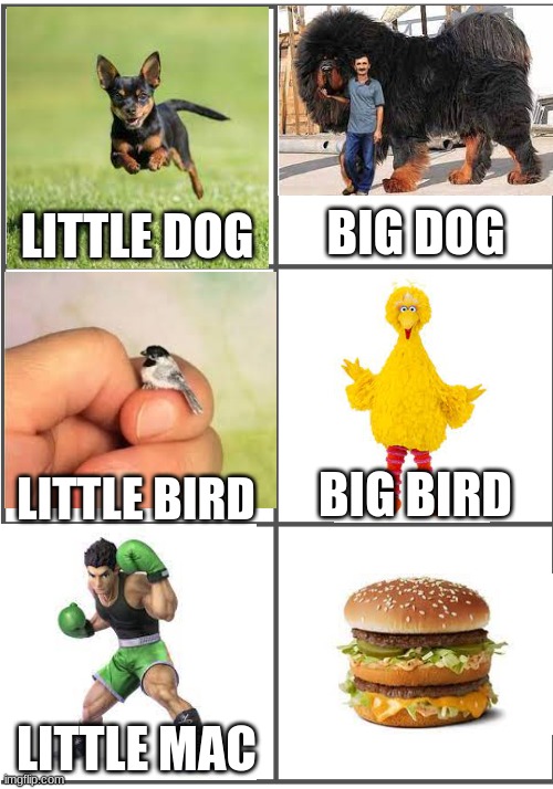 Would this be considered a meme that an 8 year old would make because there was a lot of pictures and text boxes. | BIG DOG; LITTLE DOG; BIG BIRD; LITTLE BIRD; LITTLE MAC | image tagged in blank comic panel 2x3,super smash bros,birds,dogs,mcdonalds | made w/ Imgflip meme maker
