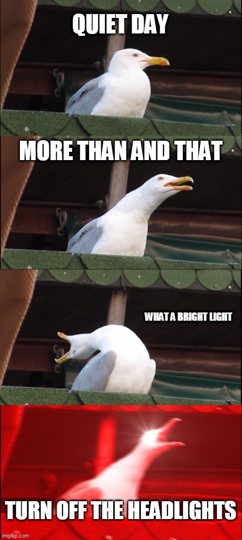 Inhaling Seagull | QUIET DAY; MORE THAN AND THAT; WHAT A BRIGHT LIGHT; TURN OFF THE HEADLIGHTS | image tagged in memes,inhaling seagull | made w/ Imgflip meme maker