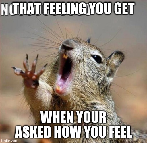 that feeling you get when your asked how you feel | THAT FEELING YOU GET; WHEN YOUR ASKED HOW YOU FEEL | image tagged in noooooooooooooooooooooooo | made w/ Imgflip meme maker