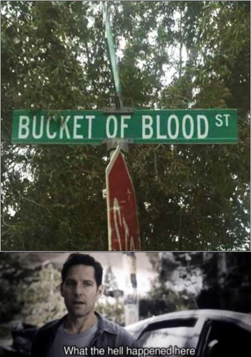 Curious Street Name ? | image tagged in what the hell happened here,bucket,blood,street | made w/ Imgflip meme maker