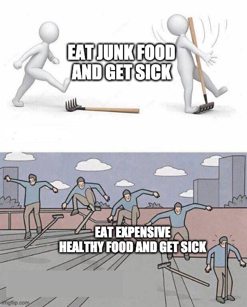 Jump on Rake | EAT JUNK FOOD AND GET SICK; EAT EXPENSIVE HEALTHY FOOD AND GET SICK | image tagged in jump on rake,food | made w/ Imgflip meme maker