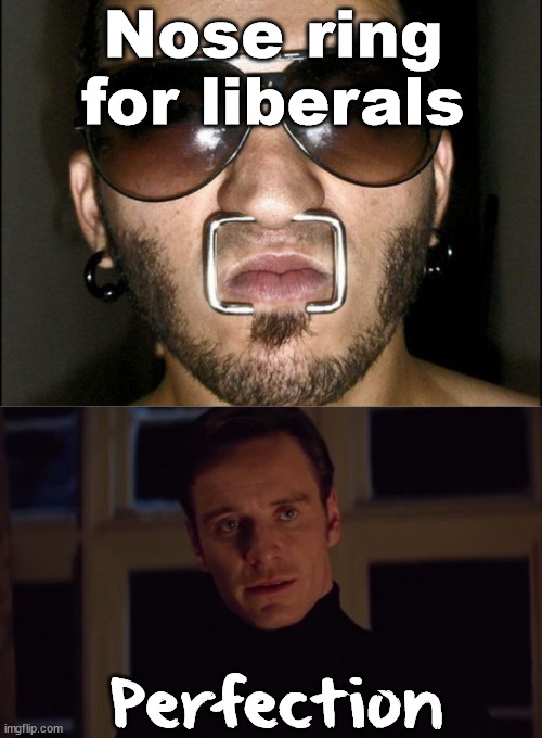 Can't talk | Nose ring for liberals; Perfection | image tagged in perfection | made w/ Imgflip meme maker