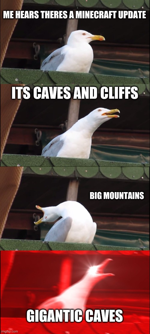 bird caves and cliffs | ME HEARS THERES A MINECRAFT UPDATE; ITS CAVES AND CLIFFS; BIG MOUNTAINS; GIGANTIC CAVES | image tagged in memes,inhaling seagull,minecraft | made w/ Imgflip meme maker