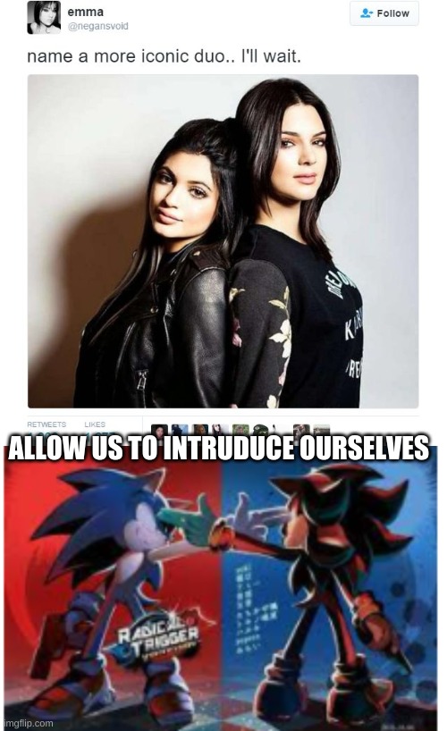 Well duh 2 | ALLOW US TO INTRUDUCE OURSELVES | image tagged in name a more iconic duo,sonic the hedgehog,shadow the hedgehog | made w/ Imgflip meme maker
