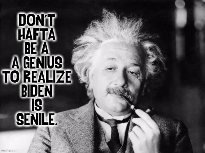 …and now a word from our resident genius | DON'T
HAFTA
BE A
A GENIUS
TO REALIZE
BIDEN
IS
SENILE. | image tagged in vince vance,albert einstein,joe biden,senile,memes,genius | made w/ Imgflip meme maker