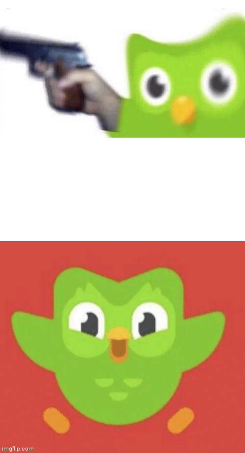 Scared Duolingo Bird Blank Meme Template