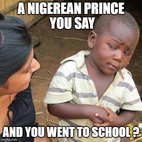 Third World Skeptical Kid Meme | A NIGEREAN PRINCE
 YOU SAY; AND YOU WENT TO SCHOOL ? | image tagged in memes,third world skeptical kid | made w/ Imgflip meme maker