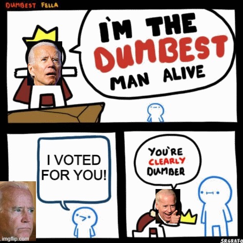 Dumb & Dumber! | I VOTED FOR YOU! | image tagged in i'm the dumbest man alive,biden,joe biden | made w/ Imgflip meme maker