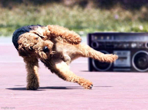 Break Dancing Dog | image tagged in break dancing dog | made w/ Imgflip meme maker