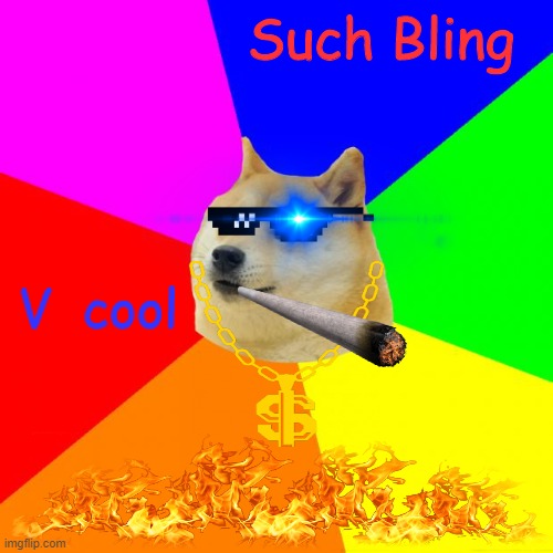Interview with Doge #6 |  Such Bling; V  cool | image tagged in memes,advice doge | made w/ Imgflip meme maker