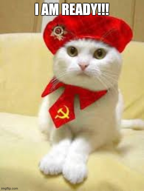 I AM READY!!! | image tagged in communist cat | made w/ Imgflip meme maker