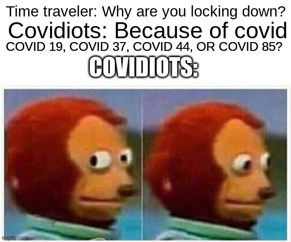 lol | Time traveler: Why are you locking down? Covidiots: Because of covid; COVID 19, COVID 37, COVID 44, OR COVID 85? COVIDIOTS: | image tagged in memes,monkey puppet,funny,covid-19 | made w/ Imgflip meme maker