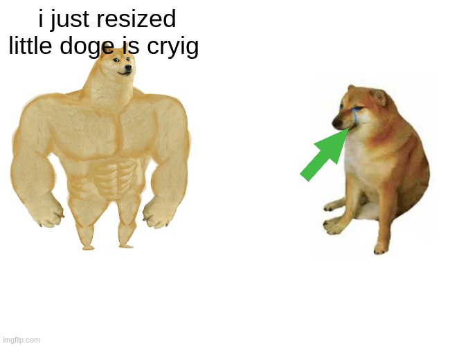 Buff Doge vs. Cheems Meme | i just resized little doge is cryig | image tagged in memes,buff doge vs cheems | made w/ Imgflip meme maker