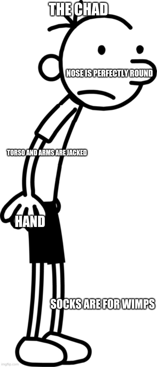 I reposted in the wrong stream | THE CHAD; NOSE IS PERFECTLY ROUND; TORSO AND ARMS ARE JACKED; HAND; SOCKS ARE FOR WIMPS | image tagged in greg heffley from diary of the wimpy kid | made w/ Imgflip meme maker
