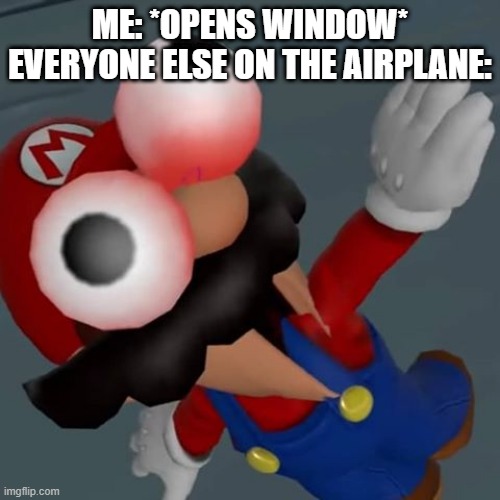 Everyone on the______ | ME: *OPENS WINDOW*
EVERYONE ELSE ON THE AIRPLANE: | image tagged in freak out mario | made w/ Imgflip meme maker
