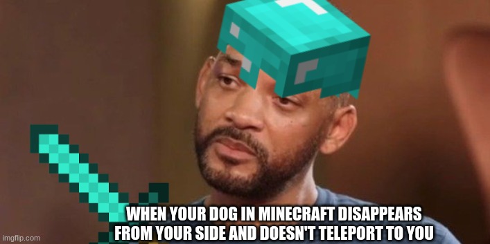 where did he go | WHEN YOUR DOG IN MINECRAFT DISAPPEARS FROM YOUR SIDE AND DOESN'T TELEPORT TO YOU | image tagged in will smith,minecraft | made w/ Imgflip meme maker