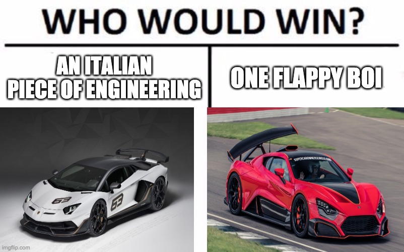 flappy flappy boi | AN ITALIAN PIECE OF ENGINEERING; ONE FLAPPY BOI | image tagged in memes,who would win | made w/ Imgflip meme maker