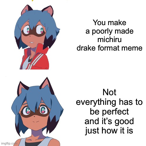 Best raccoon girl | You make a poorly made michiru drake format meme; Not everything has to be perfect and it’s good just how it is | made w/ Imgflip meme maker