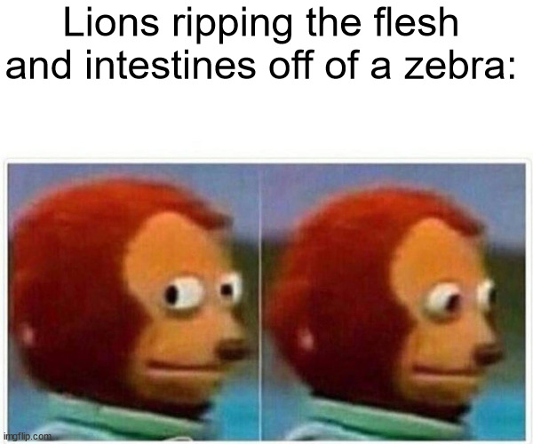 Monkey Puppet Meme | Lions ripping the flesh and intestines off of a zebra: | image tagged in memes,monkey puppet | made w/ Imgflip meme maker