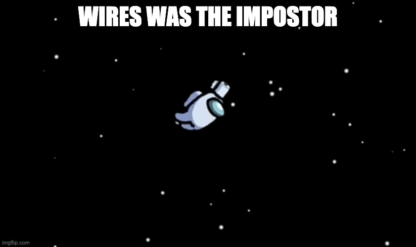 Among Us ejected | WIRES WAS THE IMPOSTOR | image tagged in among us ejected | made w/ Imgflip meme maker