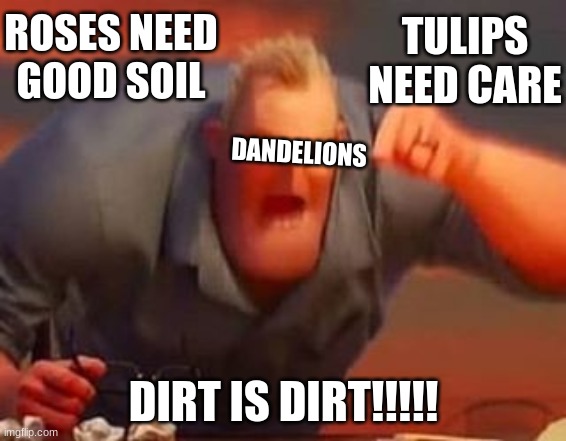 Mr incredible mad | ROSES NEED GOOD SOIL; TULIPS NEED CARE; DANDELIONS; DIRT IS DIRT!!!!! | image tagged in mr incredible mad | made w/ Imgflip meme maker