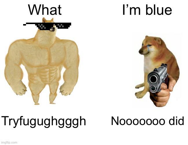 Weeeeeee | What; I’m blue; Tryfugughgggh; Nooooooo did | image tagged in memes,buff doge vs cheems | made w/ Imgflip meme maker