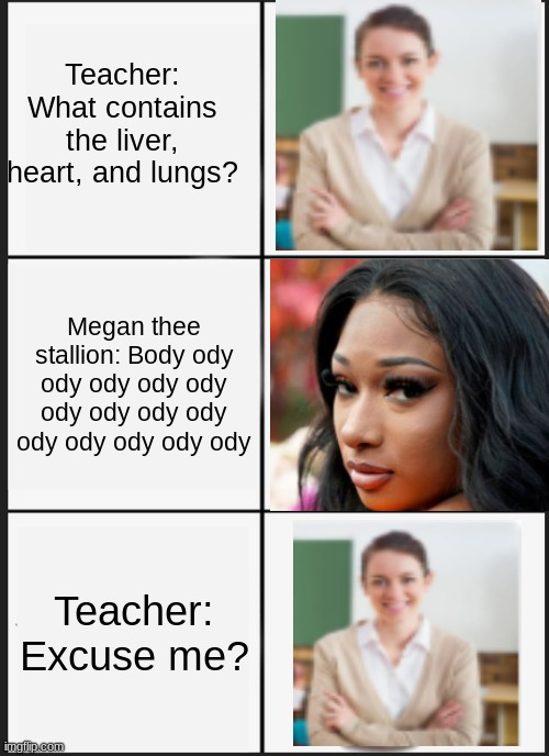 Body ody ody | Teacher: What contains the liver, heart, and lungs? Megan thee stallion: Body ody ody ody ody ody ody ody ody ody ody ody ody ody ody; Teacher: Excuse me? | image tagged in memes,panik kalm panik | made w/ Imgflip meme maker