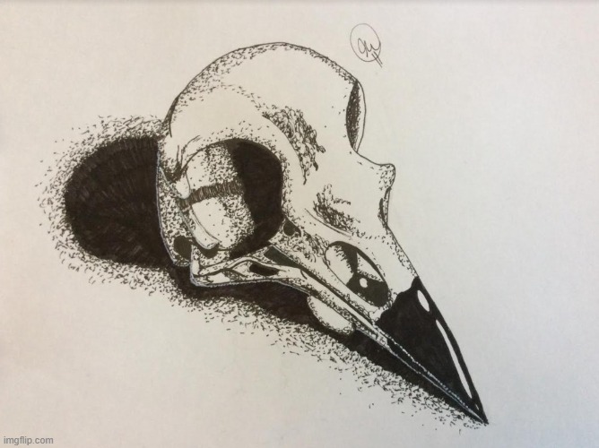 This stippling assignment i had. its a raven skull. | made w/ Imgflip meme maker