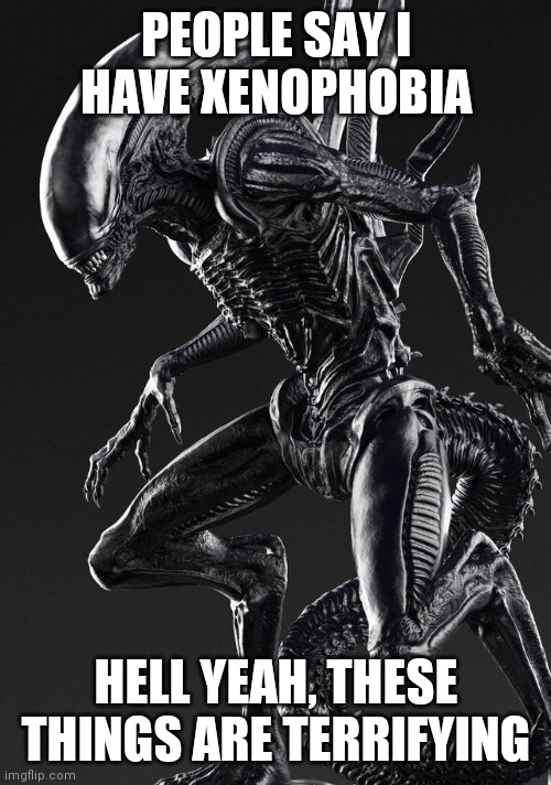 XD | PEOPLE SAY I HAVE XENOPHOBIA; HELL YEAH, THESE THINGS ARE TERRIFYING | image tagged in xenomorph | made w/ Imgflip meme maker