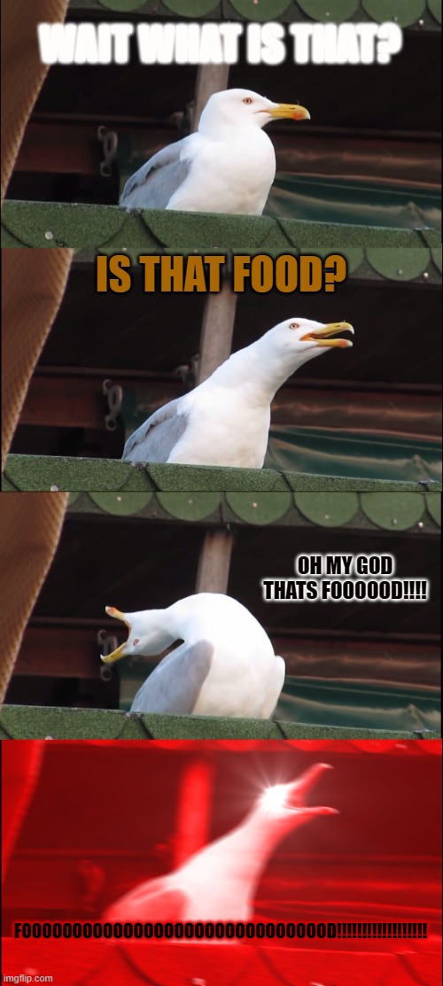 FOOOOOOOOD!!!!! | WAIT WHAT IS THAT? IS THAT FOOD? OH MY GOD THATS FOOOOOD!!!! FOOOOOOOOOOOOOOOOOOOOOOOOOOOOOOD!!!!!!!!!!!!!!!!!! | image tagged in memes,what is that | made w/ Imgflip meme maker