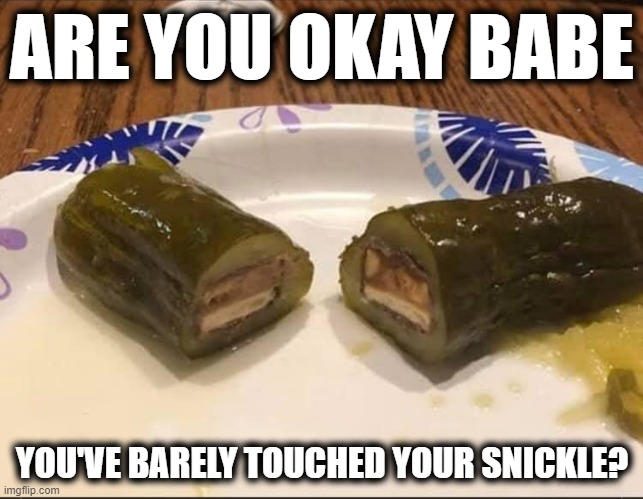 snickle | ARE YOU OKAY BABE; YOU'VE BARELY TOUCHED YOUR SNICKLE? | image tagged in snickle,snickers,eat a snickers,pickle,gross,grossed out | made w/ Imgflip meme maker