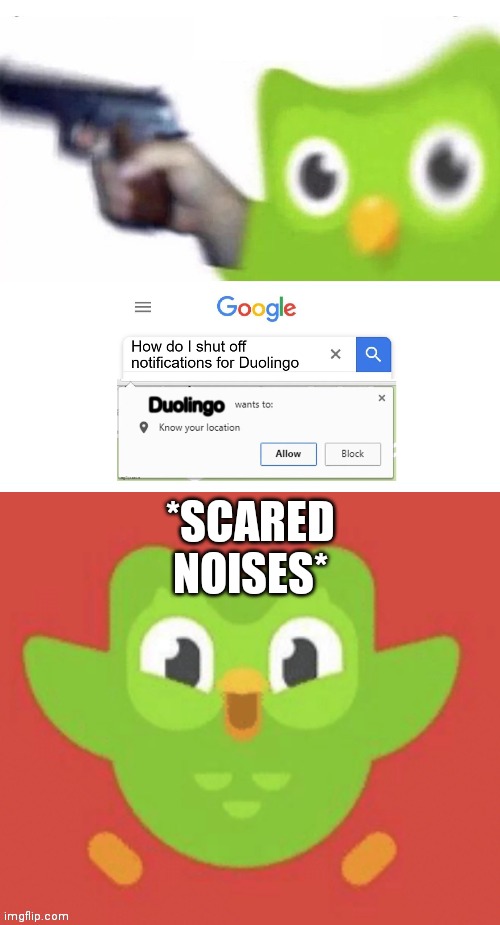 Scared Duolingo Bird | *SCARED NOISES* | image tagged in scared duolingo bird | made w/ Imgflip meme maker