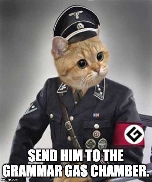 Grammar Nazi Cat | SEND HIM TO THE GRAMMAR GAS CHAMBER. | image tagged in grammar nazi cat | made w/ Imgflip meme maker