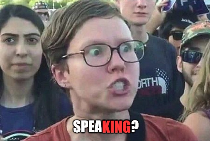 Triggered Liberal | SPEAKING? KING | image tagged in triggered liberal | made w/ Imgflip meme maker