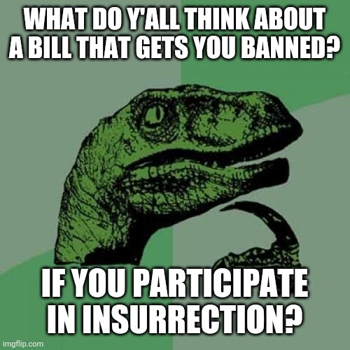 Aka joining streams with the intent of destroying this stream or such | WHAT DO Y'ALL THINK ABOUT A BILL THAT GETS YOU BANNED? IF YOU PARTICIPATE IN INSURRECTION? | image tagged in philosoraptor | made w/ Imgflip meme maker