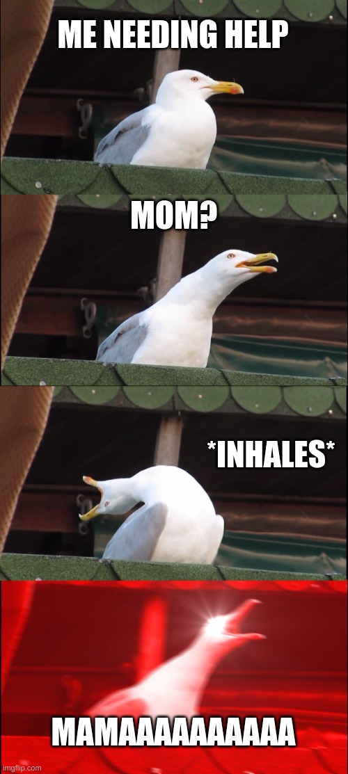 Inhaling Seagull | ME NEEDING HELP; MOM? *INHALES*; MAMAAAAAAAAAA | image tagged in memes,inhaling seagull | made w/ Imgflip meme maker