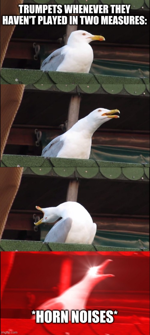 Inhaling Seagull Meme | TRUMPETS WHENEVER THEY HAVEN'T PLAYED IN TWO MEASURES:; *HORN NOISES* | image tagged in memes,inhaling seagull | made w/ Imgflip meme maker