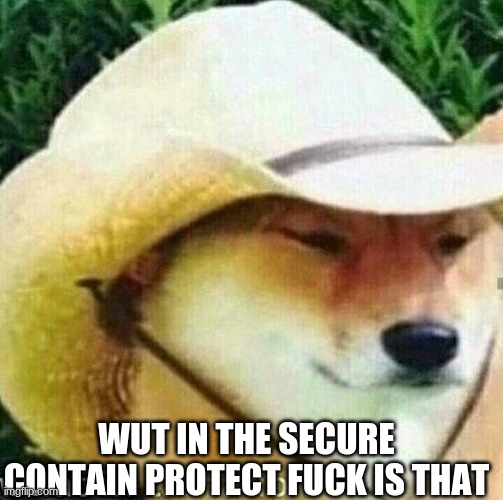 What in tarnation dog | WUT IN THE SECURE CONTAIN PROTECT FUCK IS THAT | image tagged in what in tarnation dog | made w/ Imgflip meme maker
